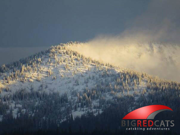 first-snow-2013-big-red-cats